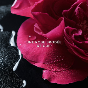 La Petite Robe Noire - Schwarze Rose - Eau de Parfum La Petite Robe Noire - Schwarze Rose - Eau de Parfum